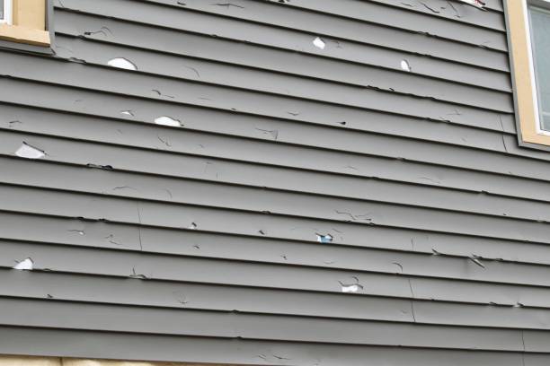 Best Hoarding Cleanup  in Jal, NM